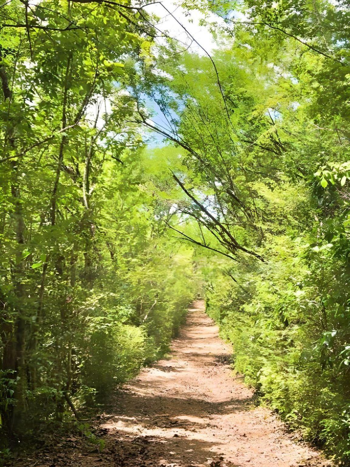 الشقق الفندقية لي تروا زيليهفي  Domaine De L'Anse Ramier المظهر الخارجي الصورة